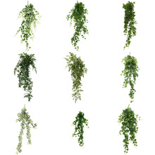 �Gɫϵ���滨�~�b�Y�û��đ��⻨�Gֲ���������~�����~�ع��~