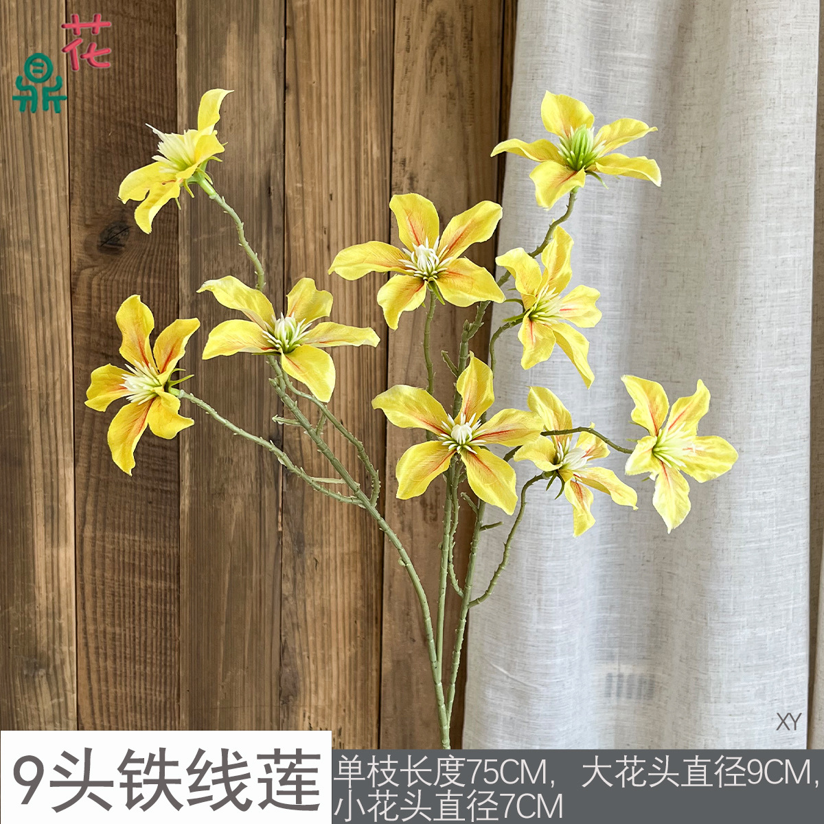 Clematis 9 đầu XY Vàng