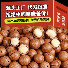 红枣干;其他果干蜜饯;养生丸