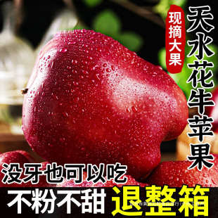��ˮ��ţ�O�����ڸ��C�����߼t�����rˮ��10���������ɳ������