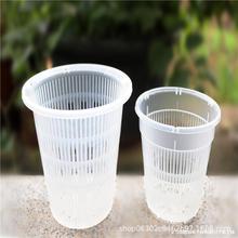 �m�����Ի��Ӻ�͸�����Ͽظ�������m��ֲ�@���m�G�}ˮ���辰