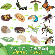 �羳�������ģ���u���Z������������֩����L�������Ͻ̾ߔ[��