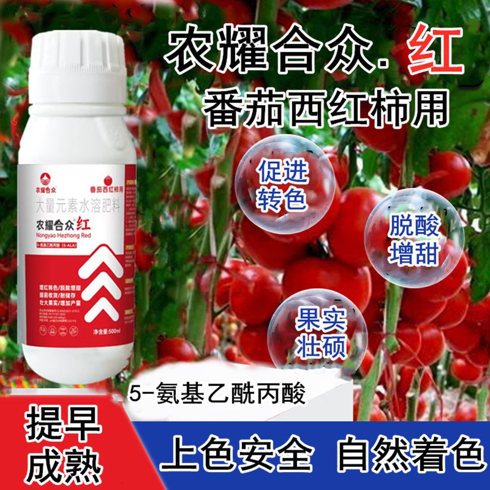 番茄催红剂靓果一喷红小西红柿增甜剂着色剂氨基乙酰丙酸水溶肥料