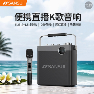 Shanshui T113 Bluetooth Speaker High-Power Subwoofer Satchel Square Dance Outdoor Live Broadcast Karaoke Wireless Microphone
