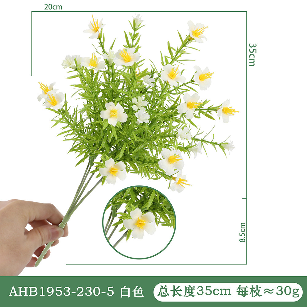 리틀 데이지-화이트 AHB1953-230-5