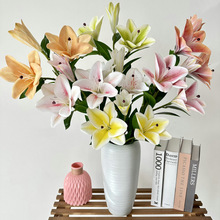 3�^�_��3D��ӡ�ٺϷ��滨��Y���bҾӾƵ��ϻ��m���滨