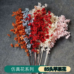 ���滨85�^�O������c�Y�õ��·���b껨�ٻ��Ҿ�ܛ�b�S�����l