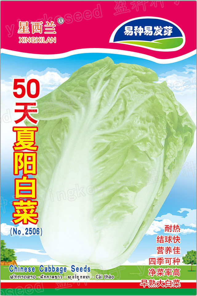 50天夏阳白 排二一一一一