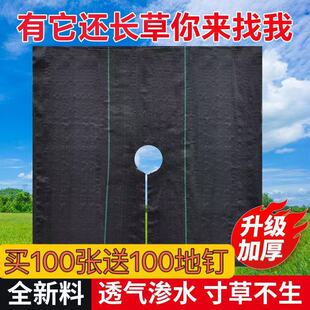 ���ͷ��ݲ���Ƭ���ݲ���Ƭ��׵ز��Ӻ��ϻ�͸��͸ˮ�@ˇ�ز�