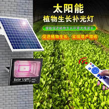 ̫Ͷ ҃ȴ߲˶ledȫVֲLa