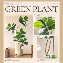 ֲ�����~�������҃���ش��ͷ����Gֲ�[���͏d�p���b��٘�