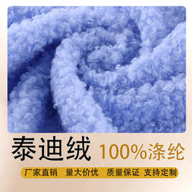 厂家直供多色仿羊毛泰迪绒 抱枕靠垫家居服毛毯家纺绒布面料现货