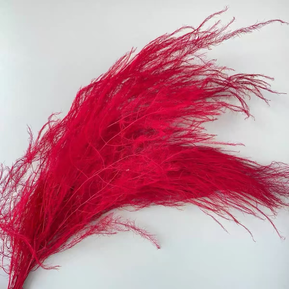 Flores de inmortalidad rojas decoración de boda flores secas de Año Nuevo para dar la bienvenida a los huéspedes frijoles de dragón grasa colgando arroz al por mayor