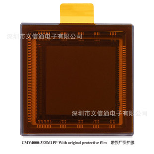 ȫ�� CMV4000-3E5M1PP UPGA95 �D�������
