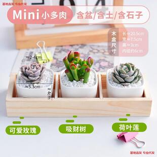 �R�G����ֲ��״ɽM���ײ����l�����҃�ֲ�ﺬ�����������Ժ��B