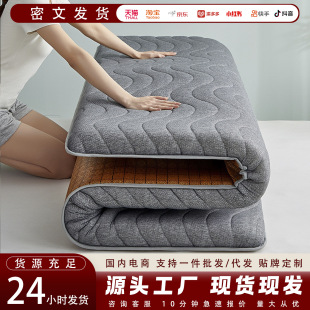 Student Dormitory Mattress Mat, Dual-Use for Winter and Summer, Soft Mat for Home Use, Tatami Children's Bed Rental Mat, Cooling Fabric