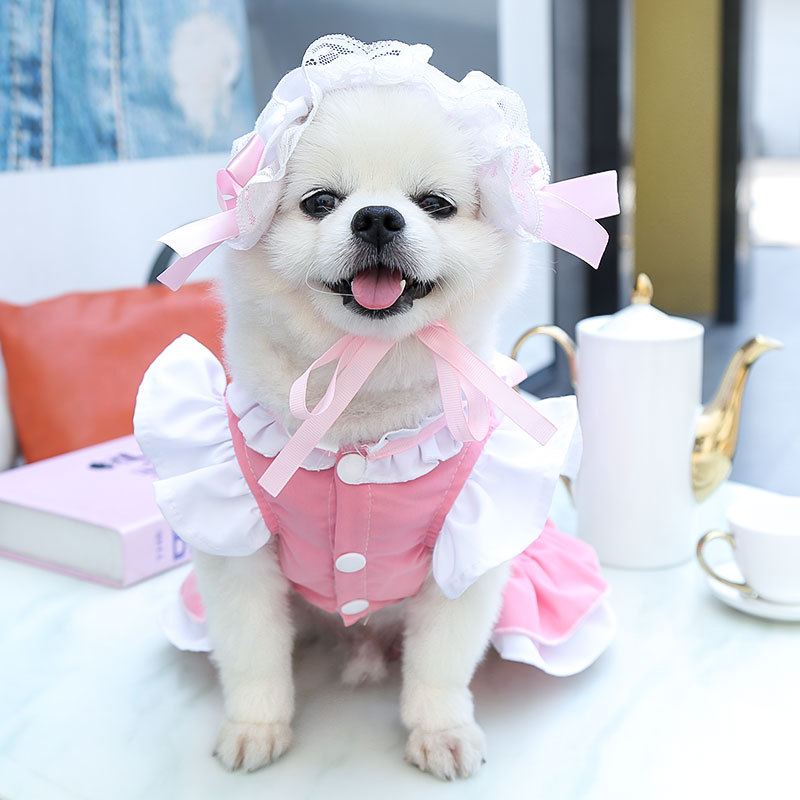Cute Sweet Polyester Bow Knot Pet Clothing display picture 10