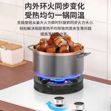 ���ƺ�̫̫ϲ�f��ȼ��������p��~���w�������Ȼ��Ƕ��ʽȼ��