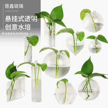 创意水培玻璃花瓶悬挂式透明插花盆绿萝壁挂小鱼缸现代简约小花瓶