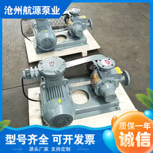 LPG液化石油气灌装抽气泵  卧式防爆氟利昂滑片泵 二氯甲烷输送泵