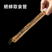 ��ȡ�x�����������Bֳ��B��з���ӊA�����x���ȡʳ��ιʳ��