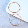 Rose Gold Exaggeration Popular circle Earrings Retro senior ring stainless steel have more cash than can be accounted for Earrings goods in stock