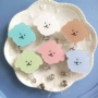 韩国员工工作护士小狗