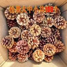 ��Ȼ�ɻ��ɹ������[���ֹ�����diy�׃��@�ֹ��h��С�ɹ��羳ֱ�N