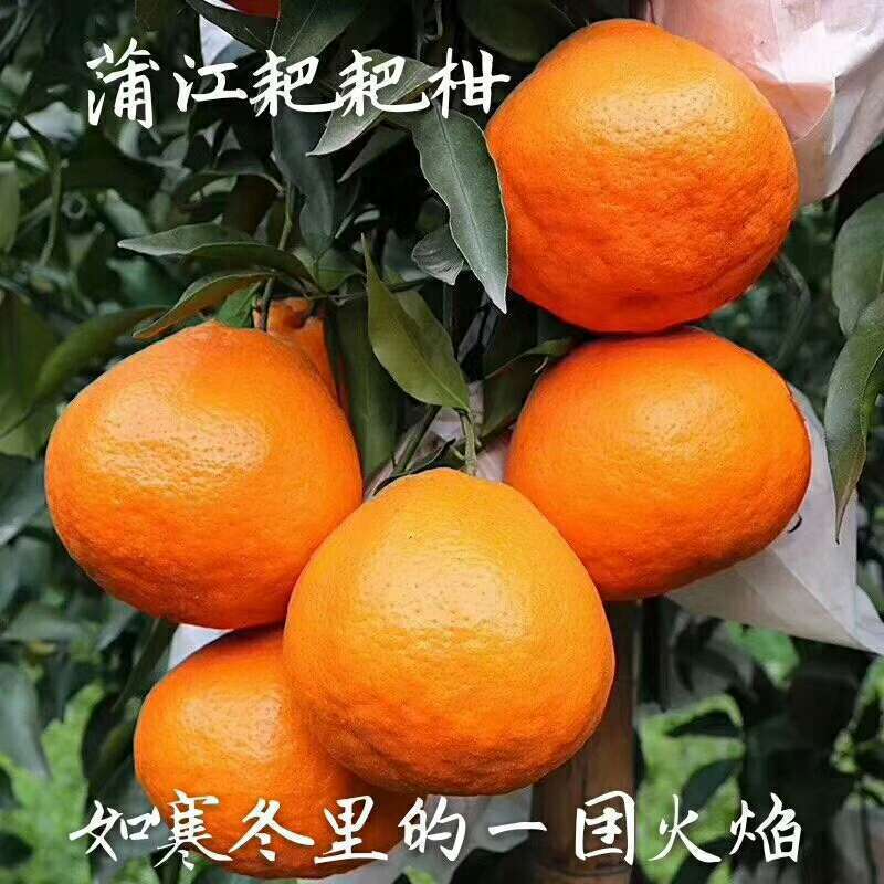 mmexport1517470463133