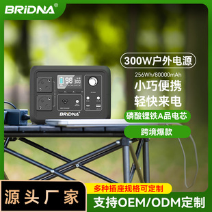 Mobile Outdoor Power Supply 300W Cross-Border Exclusive for Live Streaming, Street Vending, Camping, Self-Driving Tours, Emergency Energy Storage, Rechargeable
