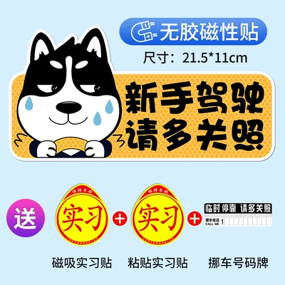 Car Internship Sign Sticker for Other Automotive Exterior Supplies - shoot-one-shot-four-strong-reflective-strong-magnetichusky-horizontal-version-for-novice-driving