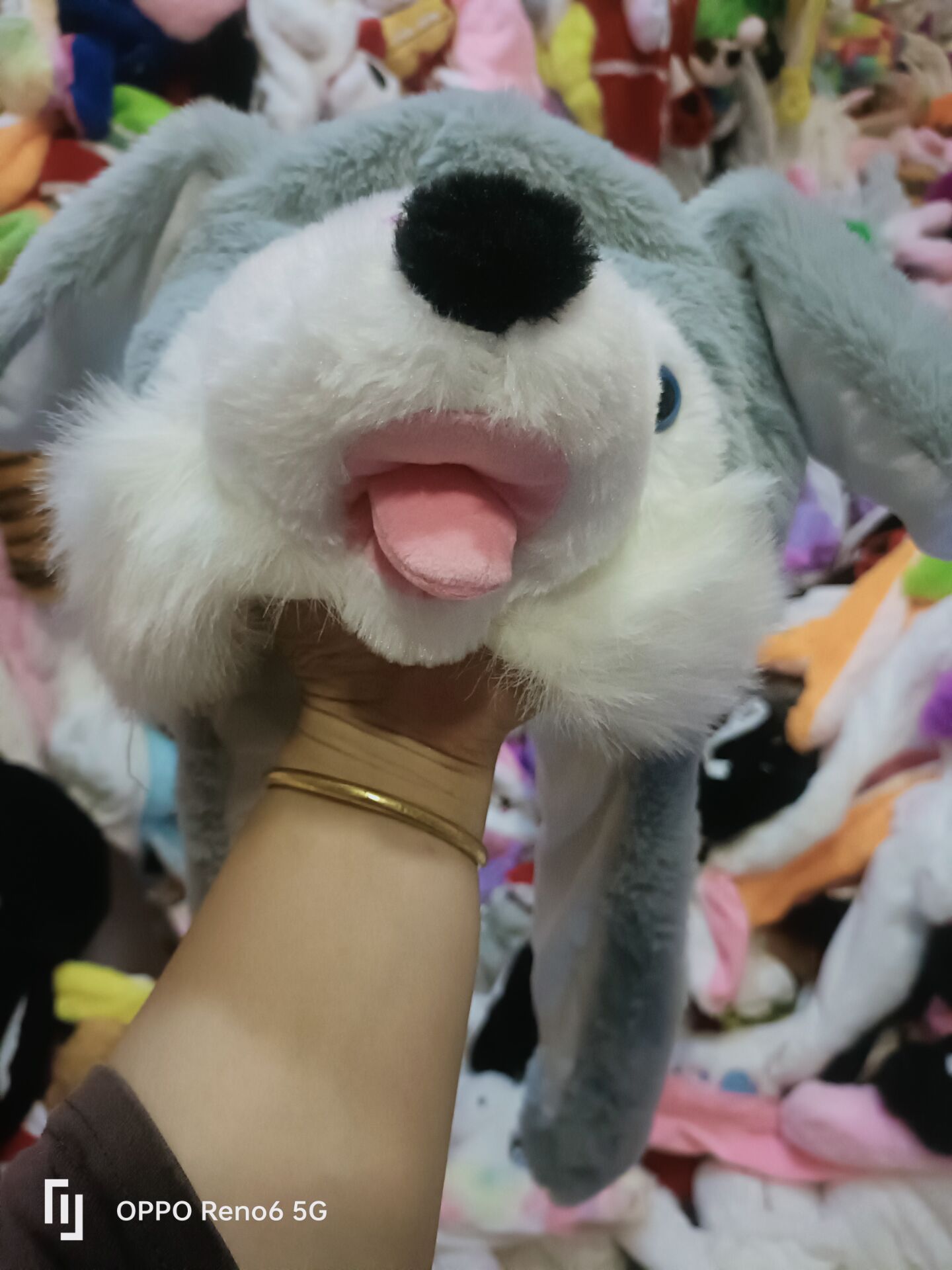 QQ图片20240701202456