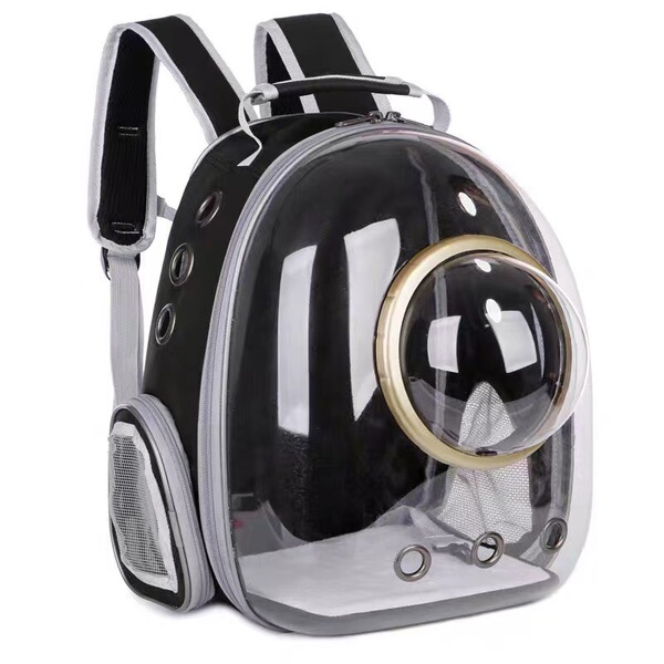 Space handheld bag to go out