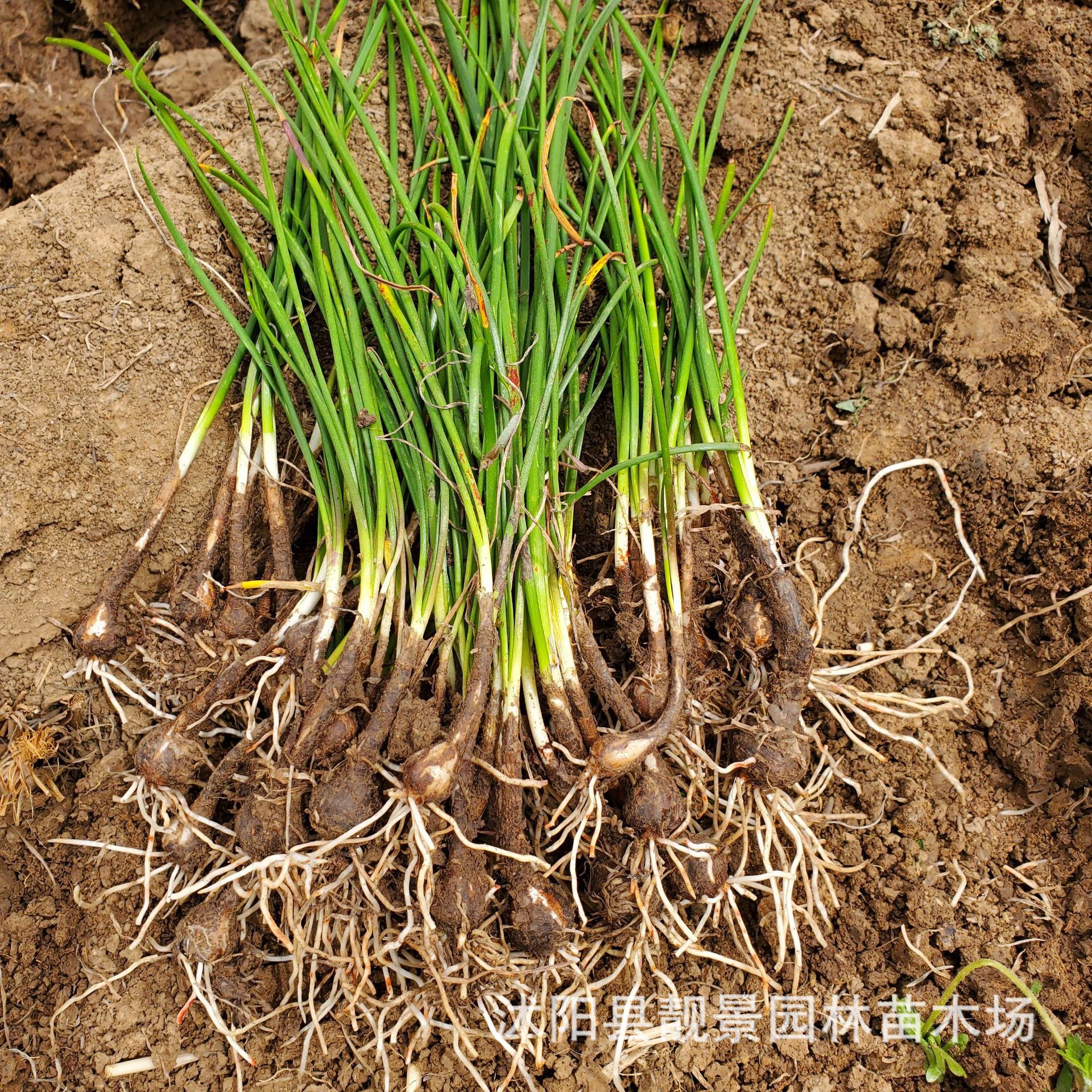 微信图片_20210418224613