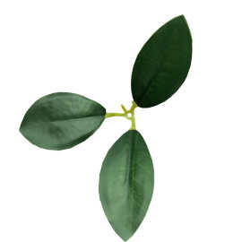 仿真绿植盆栽盆景富贵叶金钱叶玉兰叶假植物树叶榕叶批发工厂直销