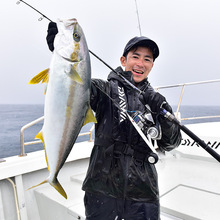 �m���ձ��M���_��CERTATE SW��܇݆������~݆�F�庣឴�ឝO݆