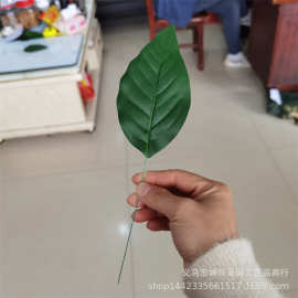 仿真植物仿真花叶配件 带铁线玉兰叶 仿真曼陀叶 大量批发