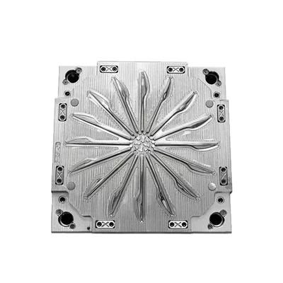 Irregular Plastic Parts, ABS Irregular: Avtomobil hissələri qəlibləri