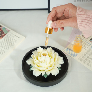 Zֹմɻ҃܇d޹͏db[̄ѶY