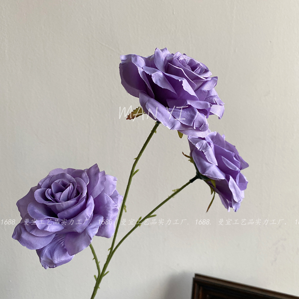 Rosa de diamante púrpura 3 cabezas