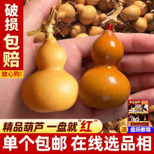 ��ȻС���J�������澫���@ָ��С���J�ְѼ����^�����ֶղ����