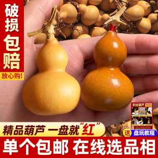 ��ȻС���J�������澫���@ָ��С���J�ְѼ����^�����ֶղ����