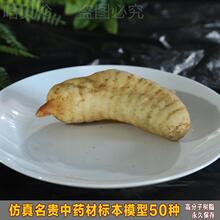 �S��ģ�͵����x��¹��ģ�͙�����ș�Ĳ����F�`֥�˱�����ģ��