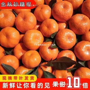 �������S�ЋD�������rˮ������Сؕ����ɰ��ɳ�������l�۽۱�Ƥ