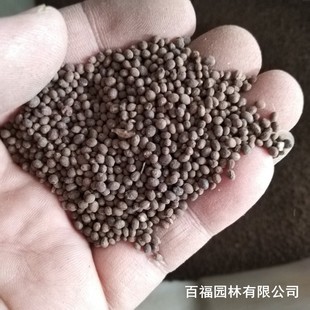 �a�����l�軨�P�ɷN���ļ��׻�N��ͥԺ���@�������N