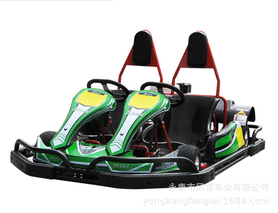 Go-Kart de Pista F1 de Hierro con Transmisión en Cadena para Parque de Atracciones image 8