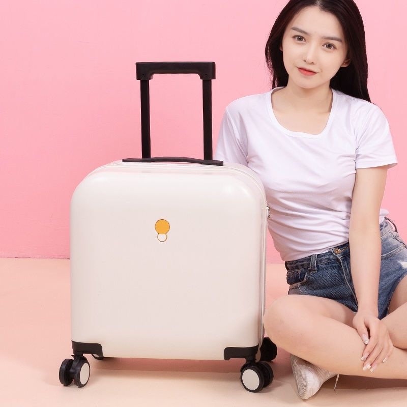Trolley Case