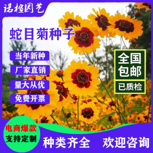 ��Ŀ�շN��100�����u��ȸ�������ջ����G���̨ͥԺ�����ͺ�����