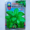 味鲜特大叶荆芥种子香荆芥种籽耐热耐寒阳台四季种植美味蔬菜种子