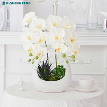 �����m���滨���R�d�ٻ��������b�մ����ָп͏d�b[�����@���m